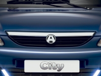 Front grille "No-licence" cars