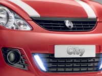 Front grille "No-licence" cars