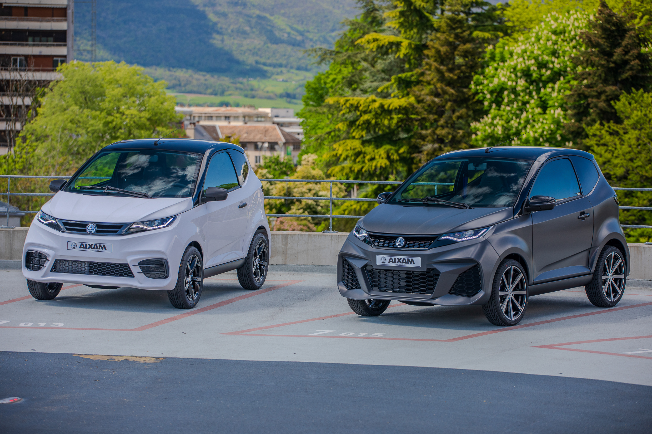 speed licence free car